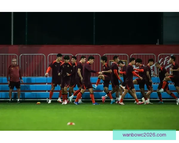 二零二六年世界杯终场哨声响起之夜世界足球新纪元启幕与时代记忆